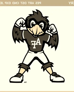 Air Force Falcons U.S.A.F. Academy