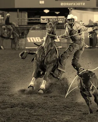 Bill Pickett Rodeo