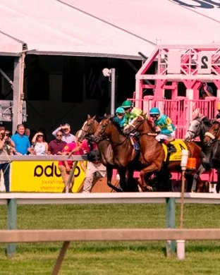 Black Eyed Susan Stakes Laurel