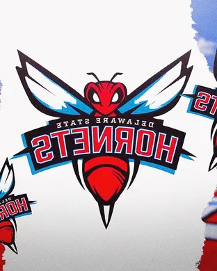 Delaware State Hornets Washington