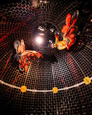 Do Portugal Circus Hyattsville