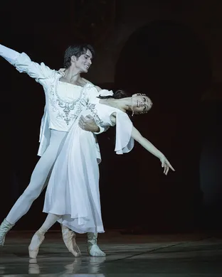 Swan Lake - Symphony of Lights