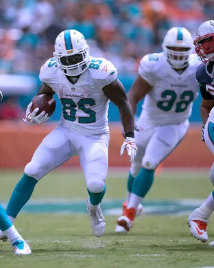 Miami Dolphins Landover