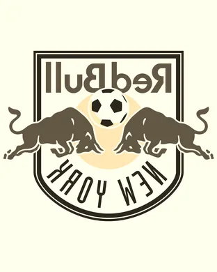 New York Red Bulls Washington