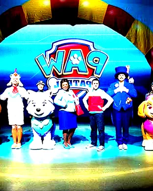 Paw Patrol Live Fairfax