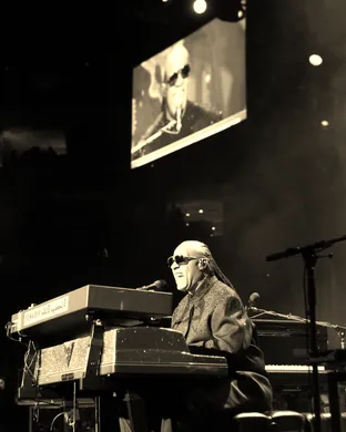 Stevie Wonder