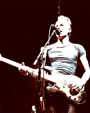 Sting Vienna