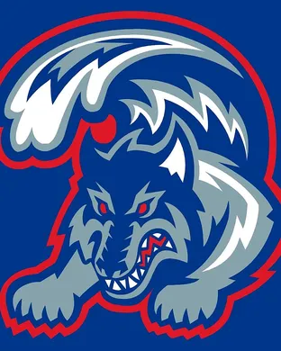 Stony Brook Seawolves Towson