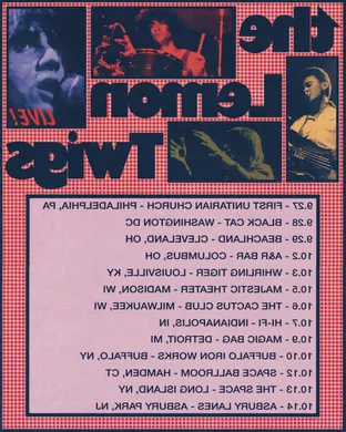 The Lemon Twigs Washington