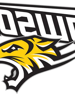 Towson Tigers Baltimore
