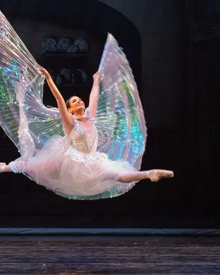 Virginia National Ballet Manassas