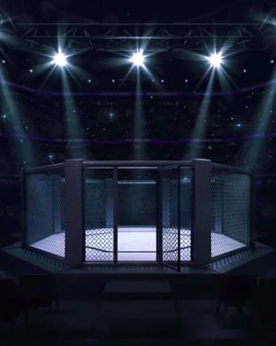 UFC Freedom 250 Fan Fest Washington